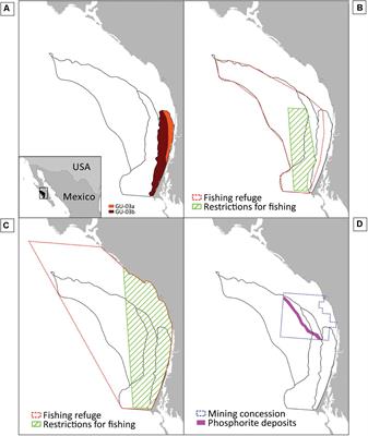 Application of Exploratory Modeling in Support of Transdisciplinary Inquiry: Regulation of Fishing Bycatch of Loggerhead Sea Turtles in Gulf of Ulloa, Mexico